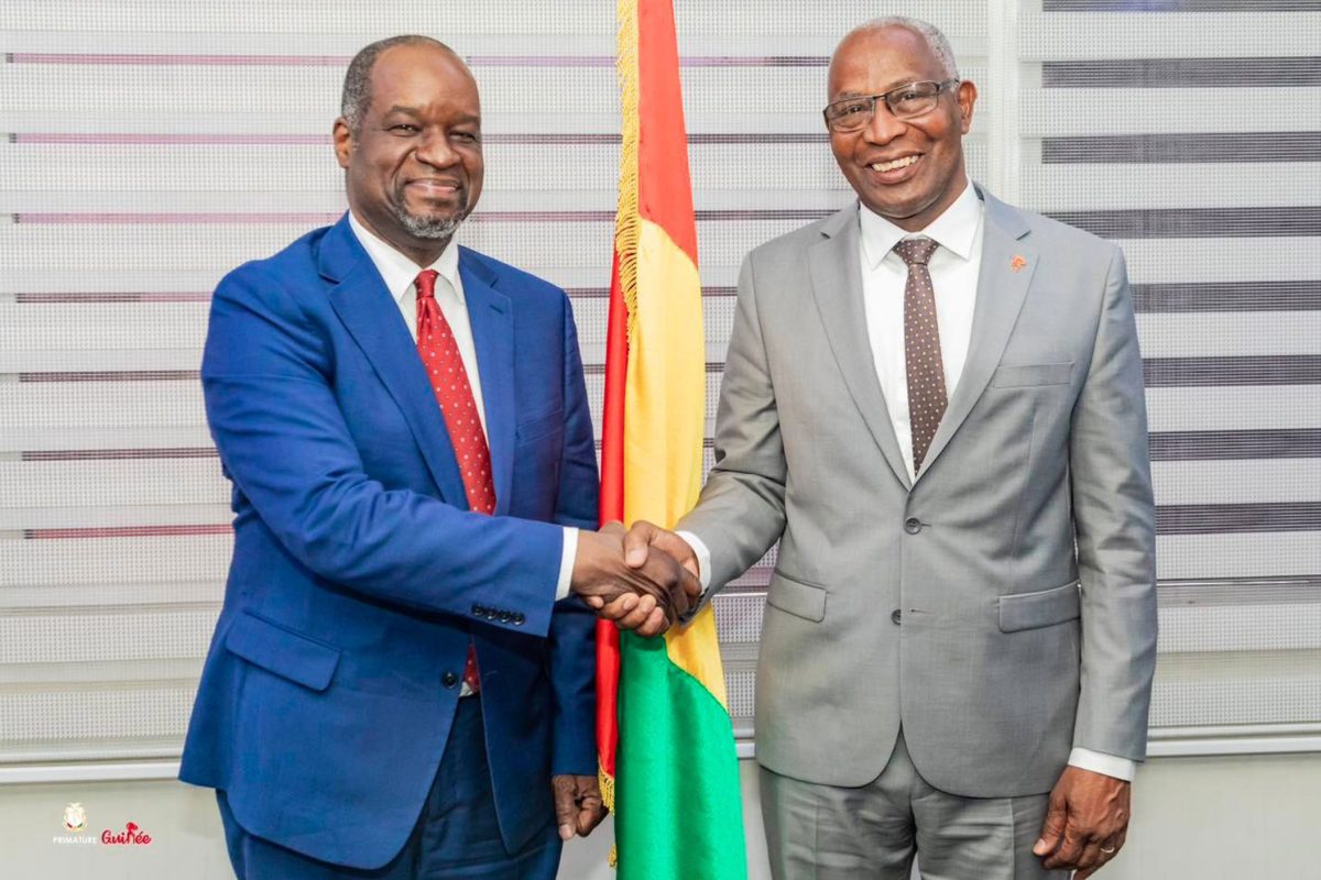 Le Premier ministre, Chef du Gouvernement a reçu l’administrateur du FMI pour la Guinée et 22 autres pays Africains