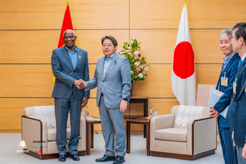 RENFORCEMENT DE LA COOPERATION GUINEO-NIPPONE: DE NOUVELLES PERSPECTIVES
