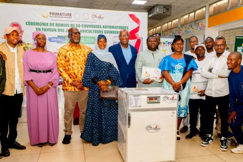 DOKKAL WOOFOORƊE “TAFANNDE GINE” : LAAMU NGUN NO TAMMBITAADE NE’OOƁE JOOROOJE E NO JIÑINDE JEYITORAL