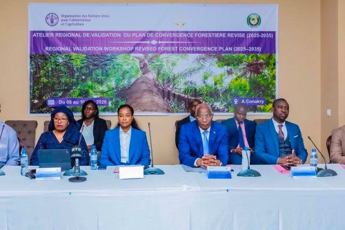 PROTECTION DES FORÊTS EN AFRIQUE DE L’OUEST : LA GUINÉE ACCUEILLE L’ATELIER RÉGIONAL DE VALIDATION DU PLAN DE CONVERGENCE FORESTIÈRE 2025-2035